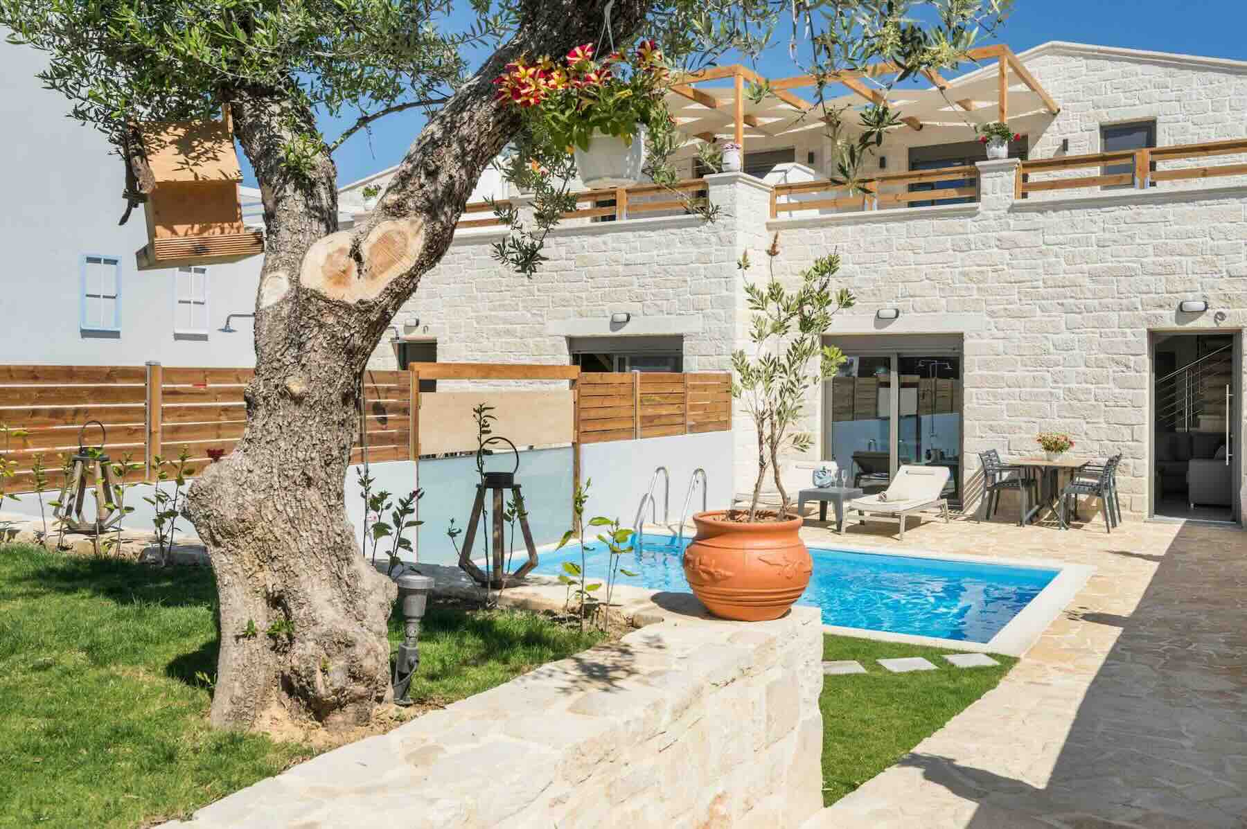 Summer in Sunflower Villas , olive tree on the garden