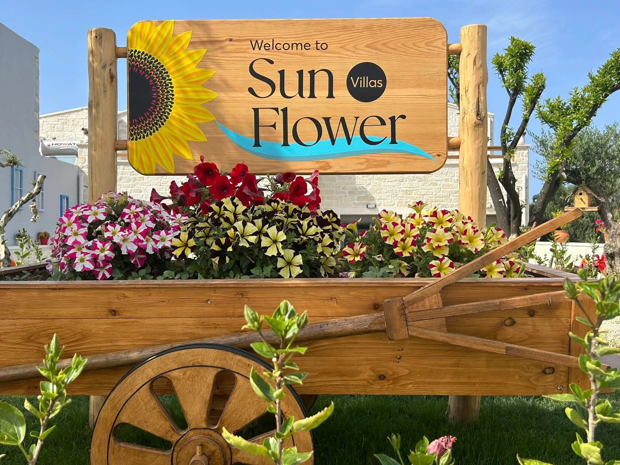 Sunflower Entrance in Agia Marina.